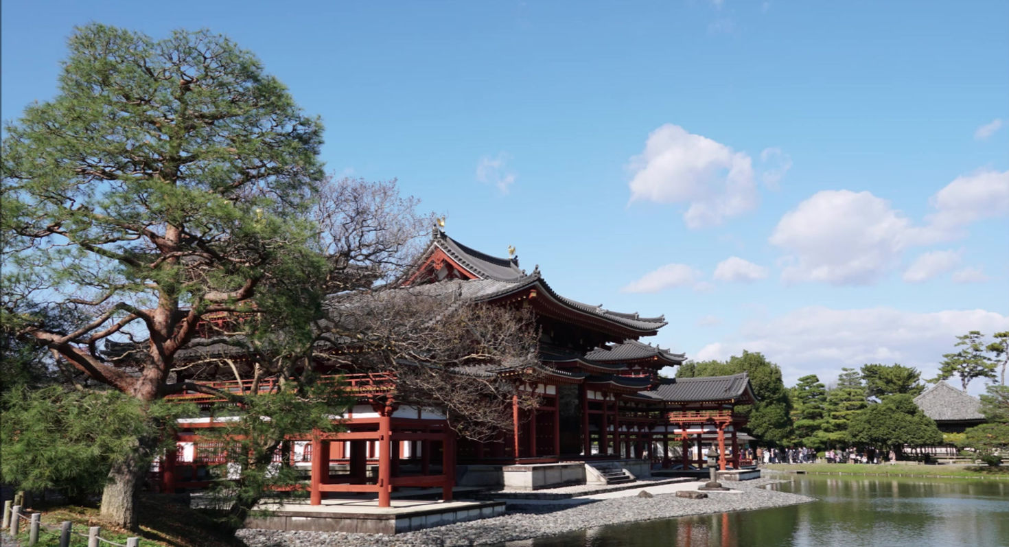 Uji